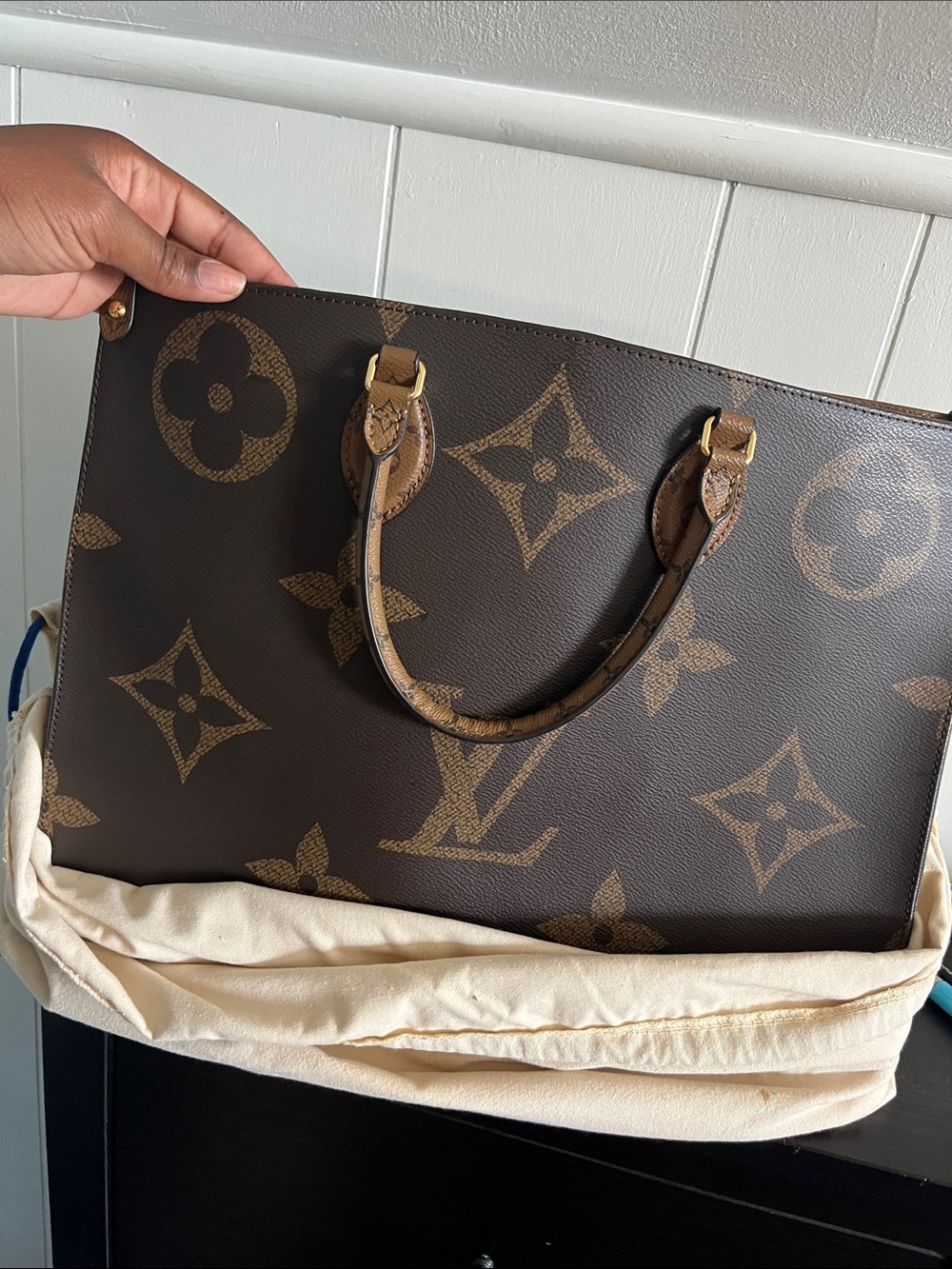 Louis Vuitton Bag
